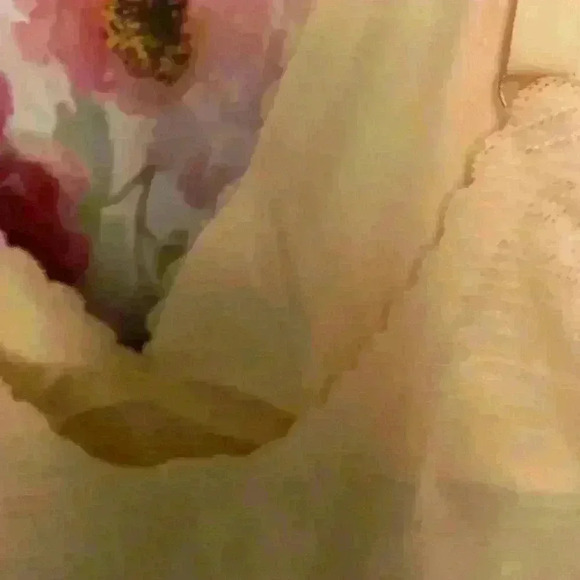 Danskin Ladies Intimates size L taupe/cream set of two . Nylon&Spandex . - Picture 5 of 6